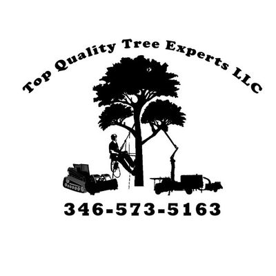 Avatar for Top Quality Tree Experts LLC