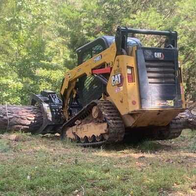 Avatar for Carolina tree pros