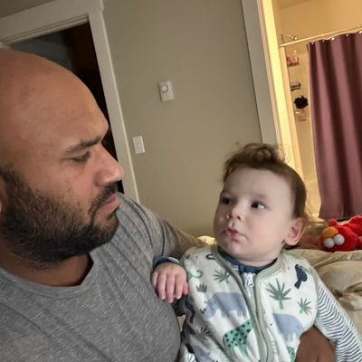 Avatar for Olsen restoration carpet cleaning services