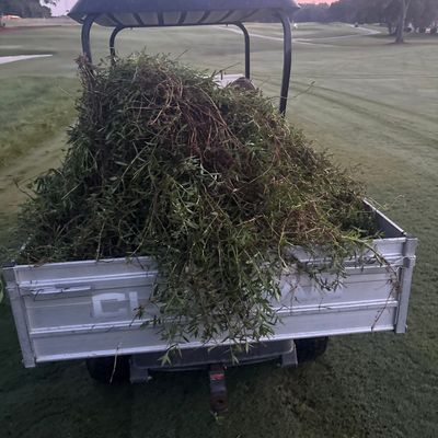 Avatar for Mikes decked out labor