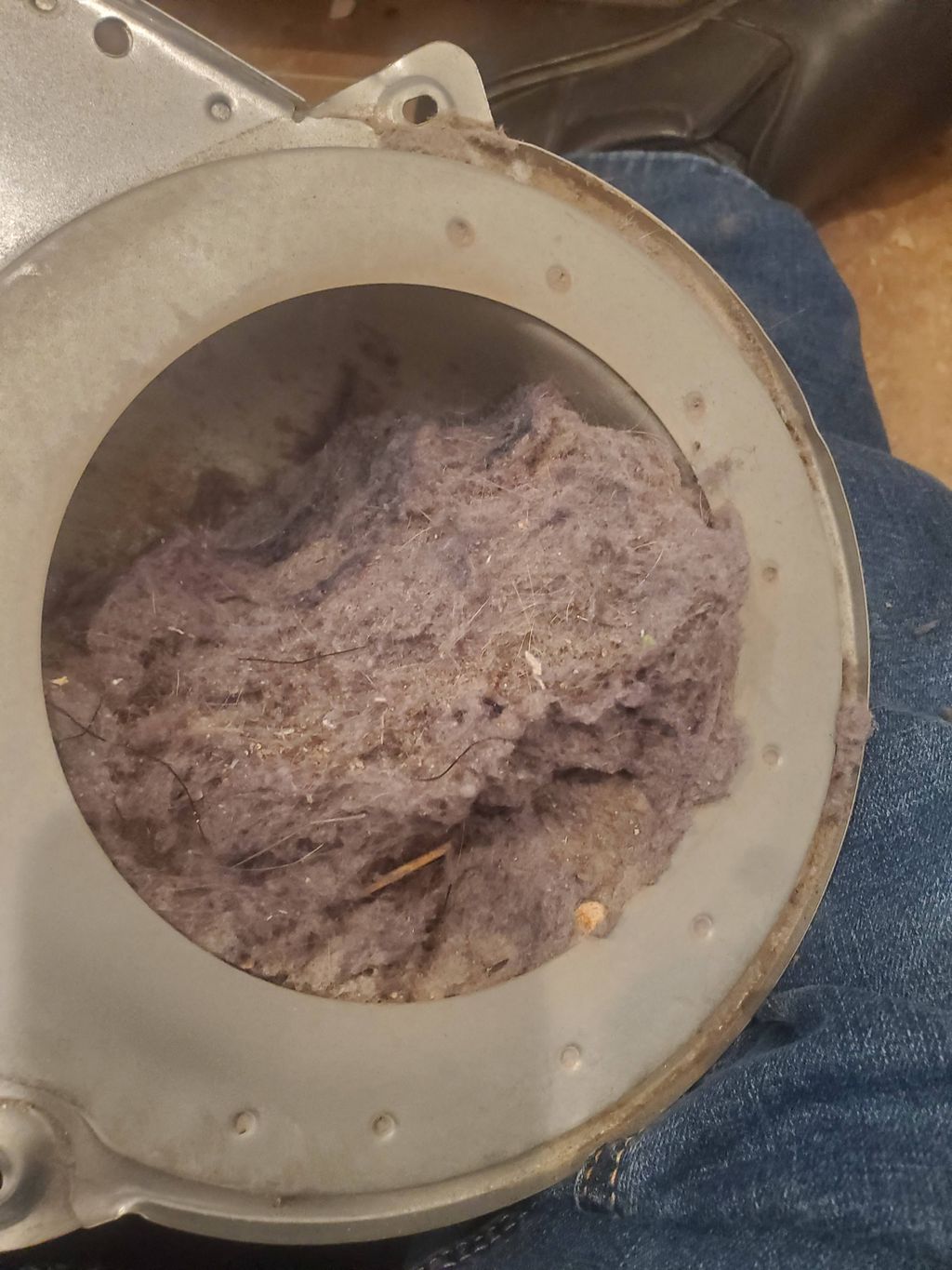 those blower housings where your lint screen go ne