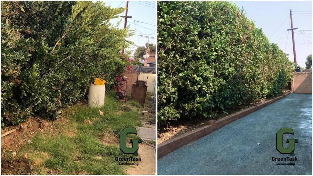 Hedges Trimmed and Dirt Replaced With DG 