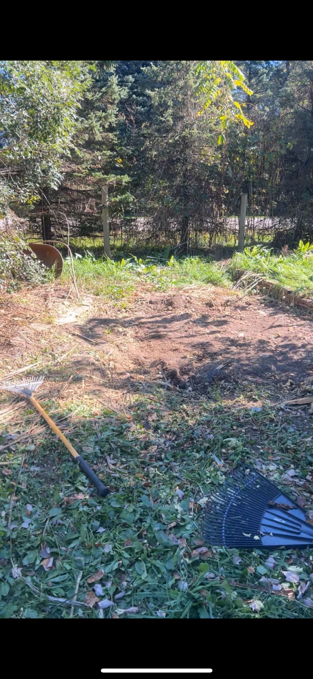 After of the shed demo cleanup