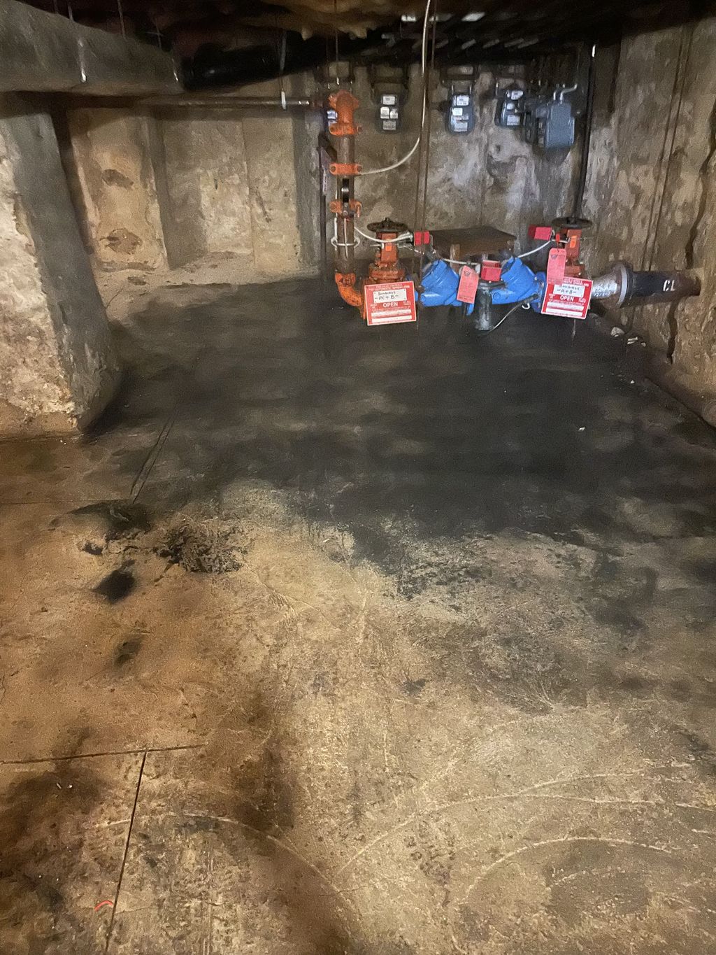 Mold in the basement