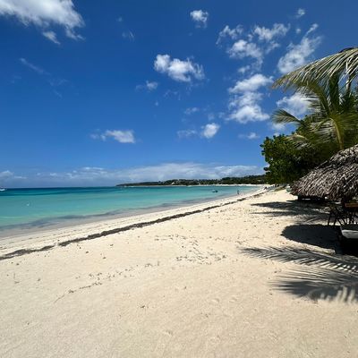 Avatar for Happy Spaces by Carla