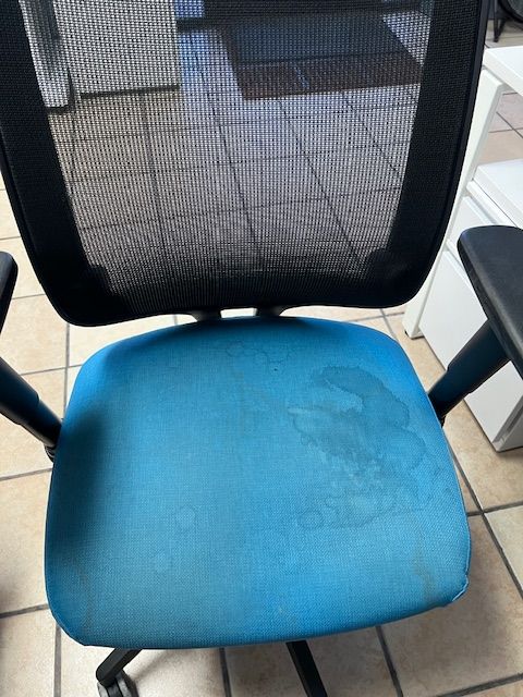 Office Chair Before