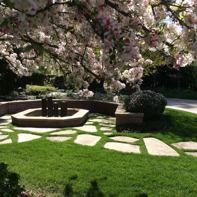 Avatar for Lo's Landscape Design & Maintenance