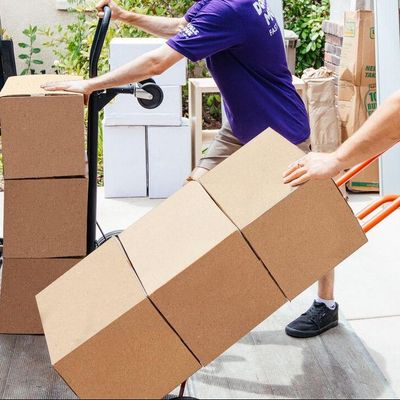 Avatar for bnds moving and more