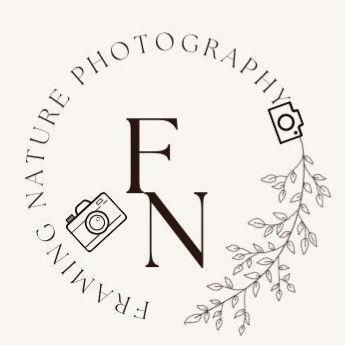 Framing Nature Photography