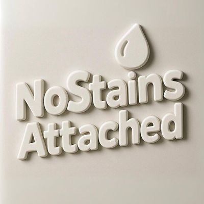 Avatar for No Stains Attached
