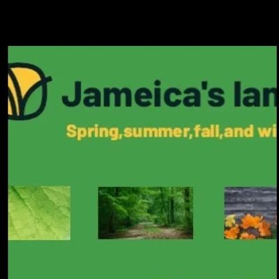 Avatar for jameica's landscaping
