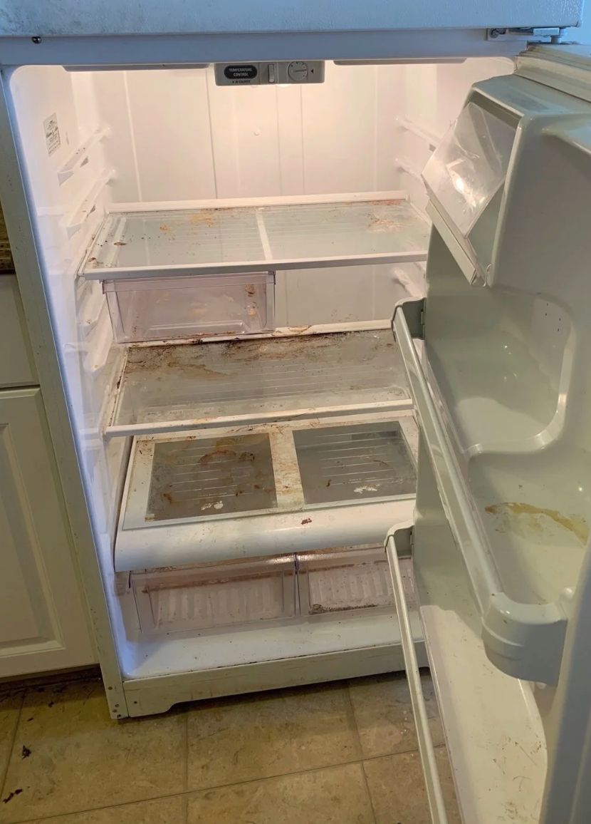 Fridge Cleaning Before