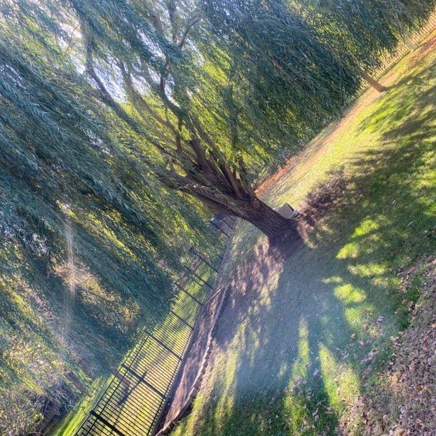 Hernandez Lawn & Tree Care