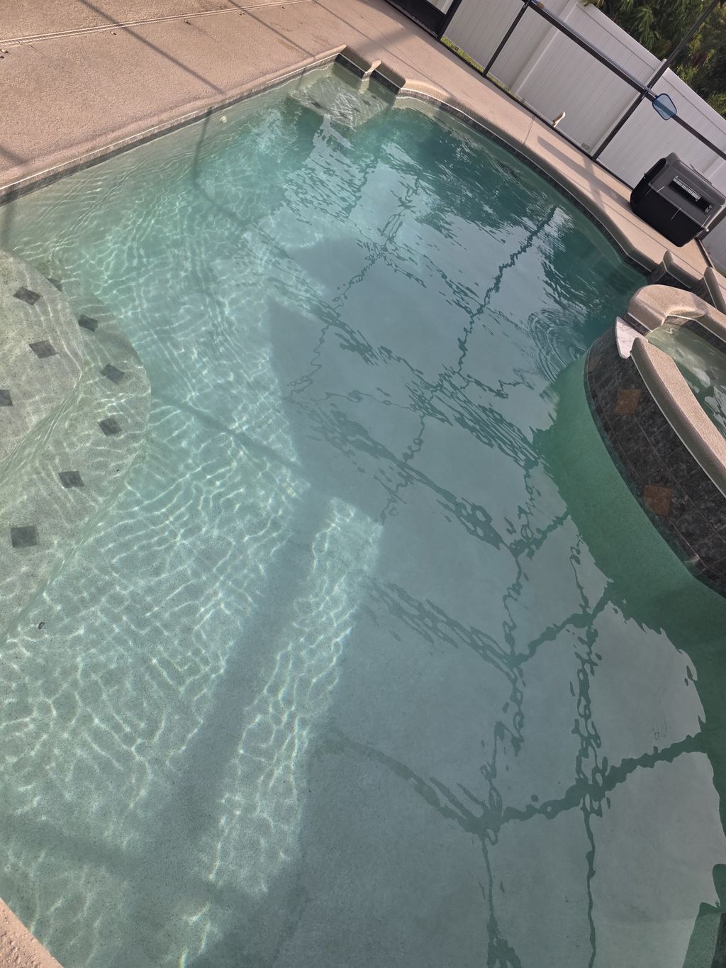 After green pool Clermont Florida 