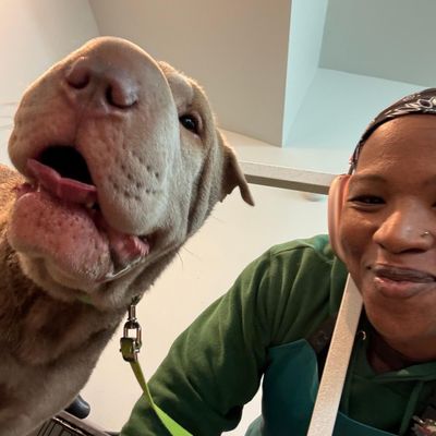 Avatar for Rhea the dog groomer