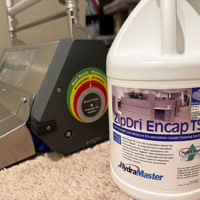 Avatar for Olsen restoration carpet cleaning services