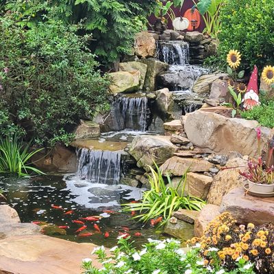 Avatar for IPond and Landscapes