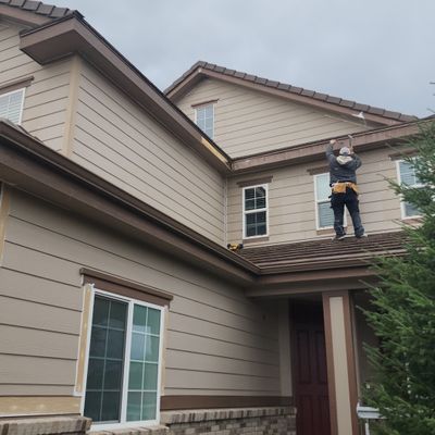 Avatar for SL Painting LLC