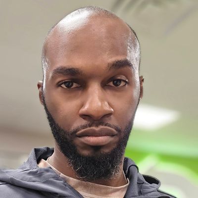 Avatar for Pace lawn service