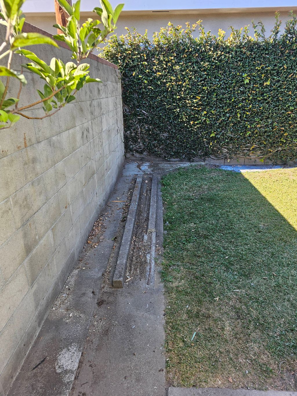 Backyard Cleanup (After Image)