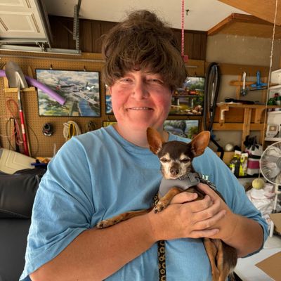 Avatar for Darcies pet services