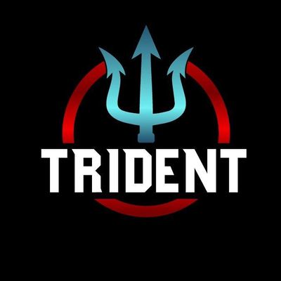 Avatar for Trident Dumpster and Haul-Away