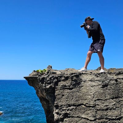 Avatar for Aelpha Collective