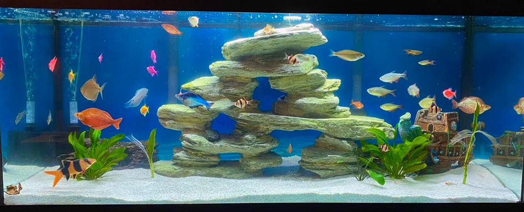 SoHo Mobile Bartending, LLC