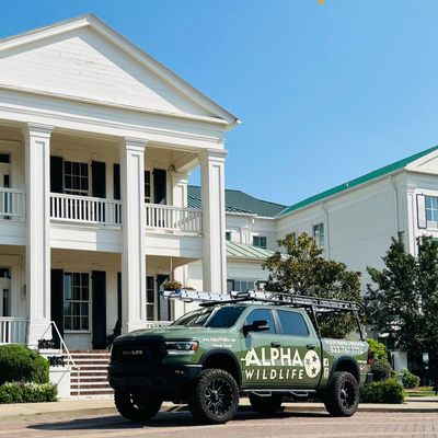 Avatar for Alpha Wildlife Memphis