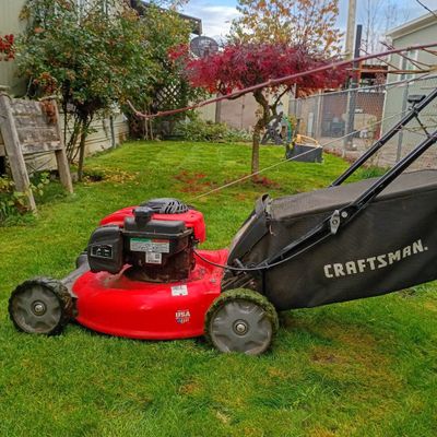 Avatar for MCC Yard Services Llci