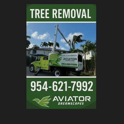 Avatar for Aviator Tree Specialist