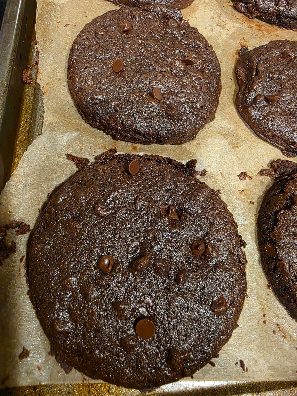 Double Chocolate Chip