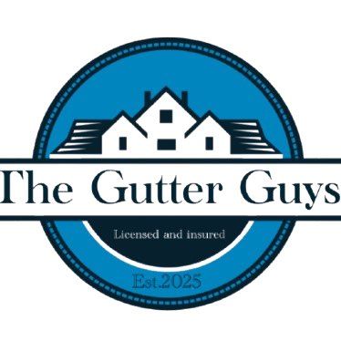 Avatar for The gutter guys