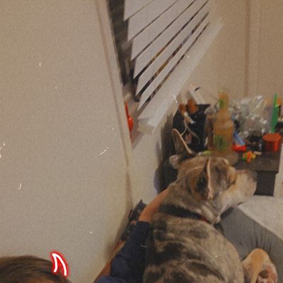 Avatar for Pawsitively Good Training