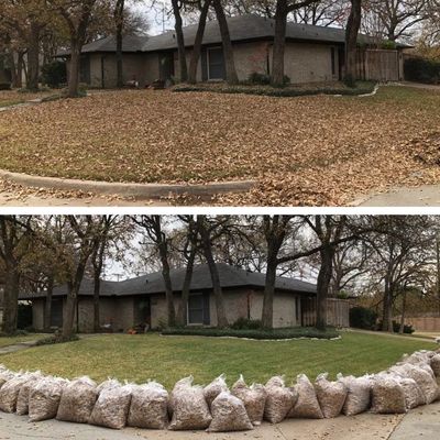 Avatar for Capital oaks lawn care