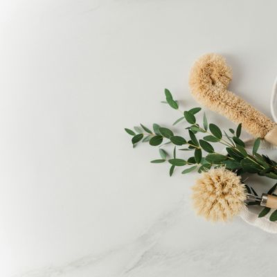 Avatar for Lius Cleaning Crew