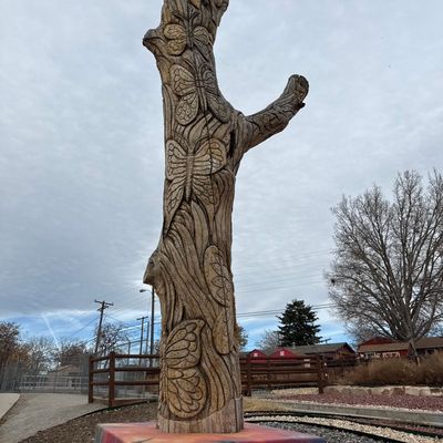 Avatar for Full Winter Services