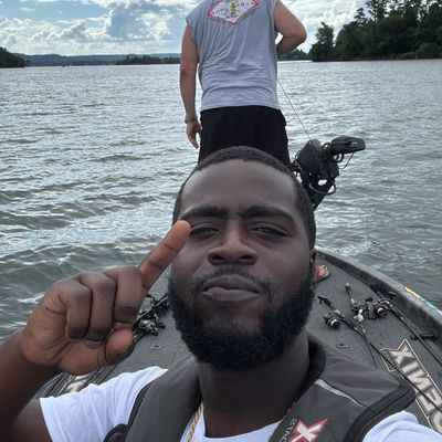 Avatar for WilliamsPerfectionLawncare