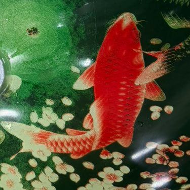 Avatar for Active Landscape and Ponds