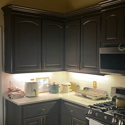 Avatar for Pawspaintingllc