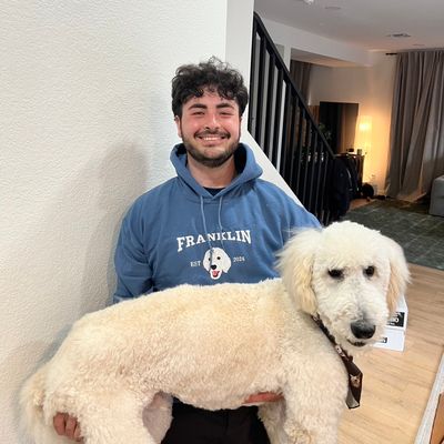 Avatar for Frank’s Yard Refresh