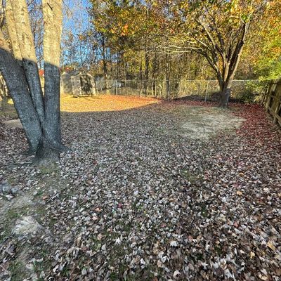 Avatar for Alpha Landscape Company