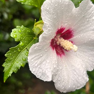 Avatar for Divine Ministries