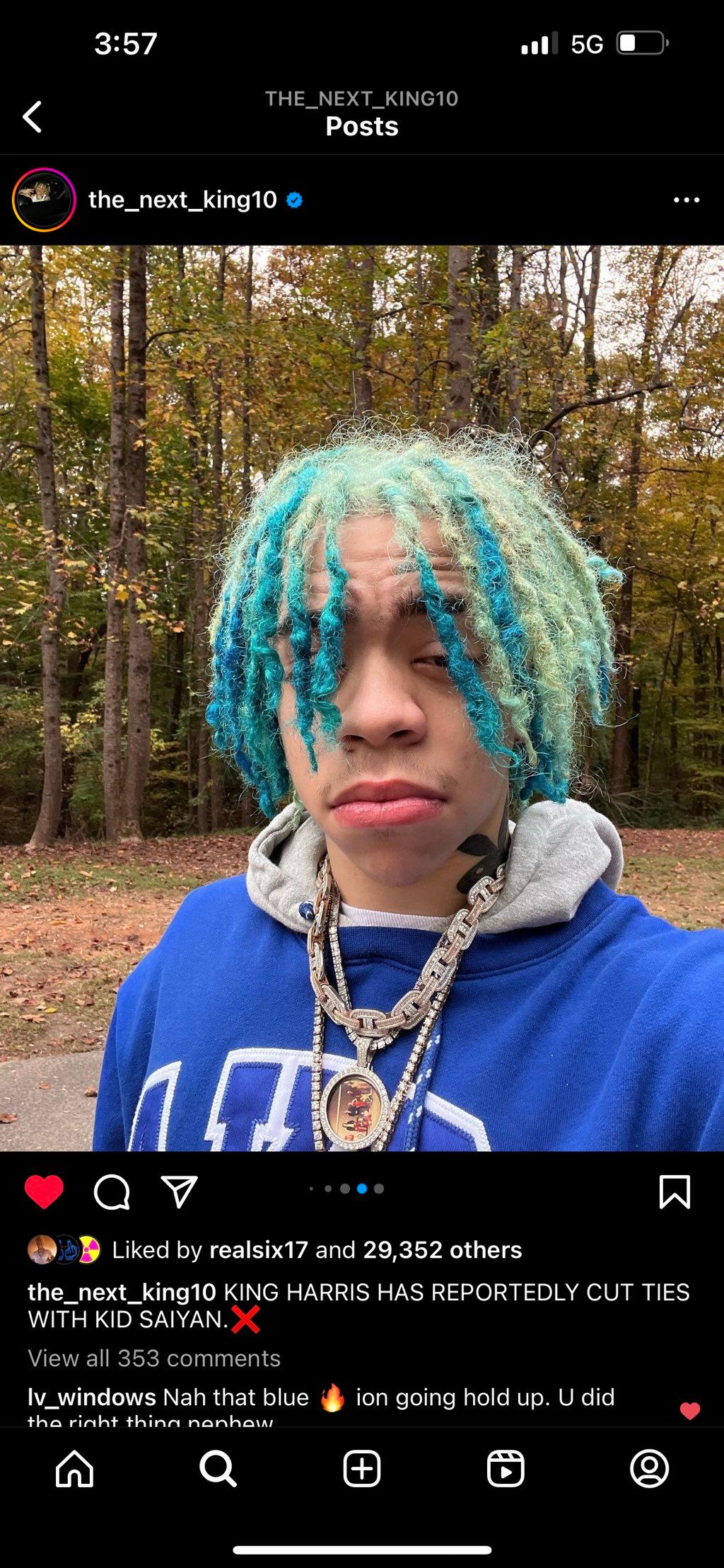 Brown hair colored blonde & Blue on King
