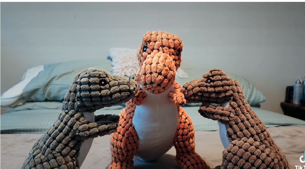 A client I worked for dog toys