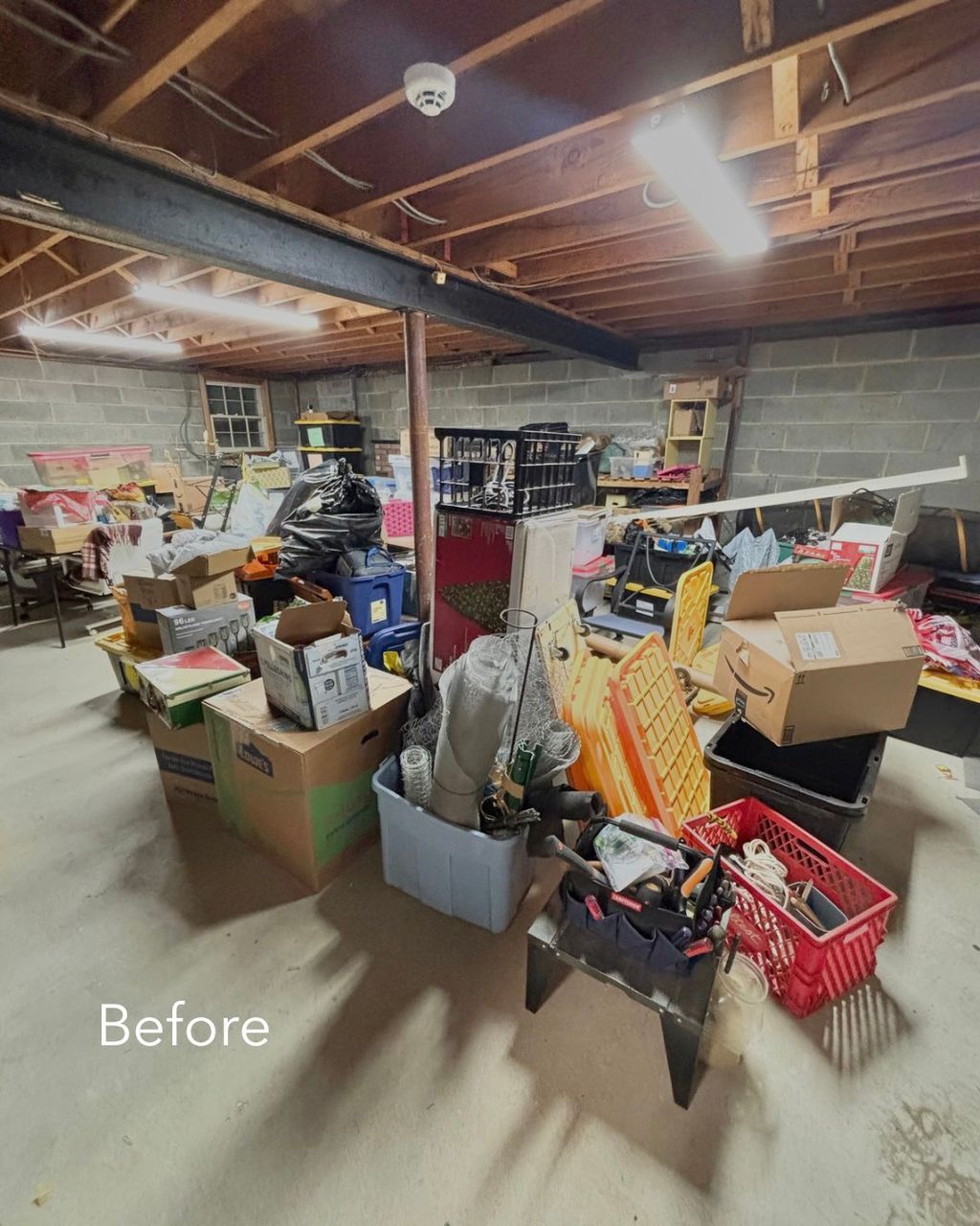 Client Basement - Before