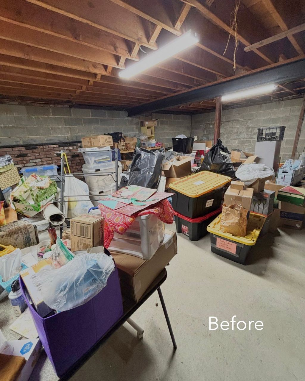 Client Basement - Before