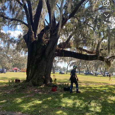 Avatar for First Responders Tree Services