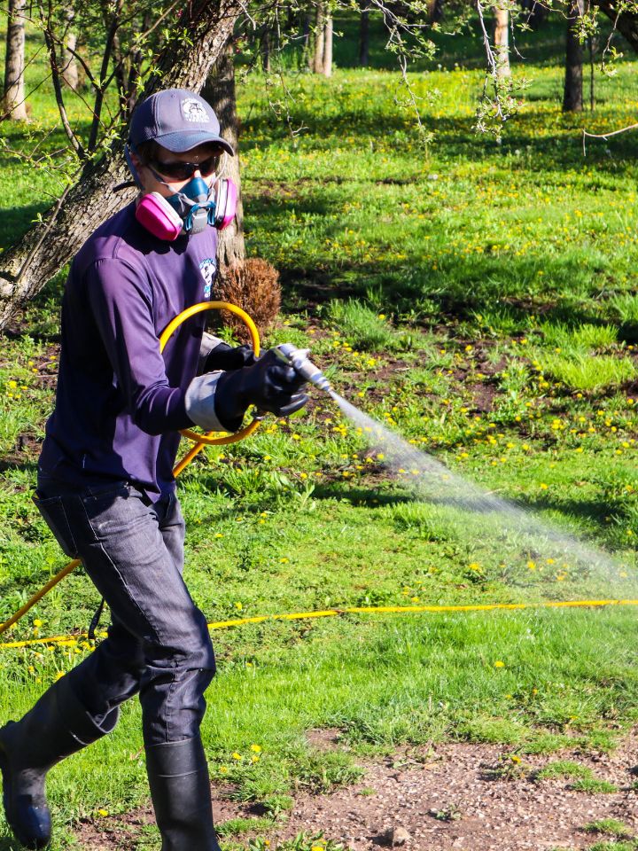 Mosquito Control Services