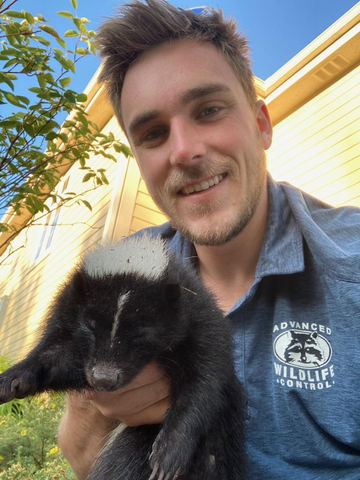 Skunk Removal